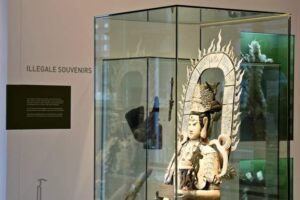 Deutsches Zollmuseum - Hamburg - Illegale Souvenirs: Ausstellung von beschlagnahmten Schmuggelwaren und artengeschützten Objekten