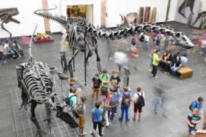 Senckenberg Naturmuseum - Frankfurt am Main - Dinosaurier-Ausstellung: Große Saallandschaft mit gigantischen Dinosaurierskeletten und Besuchern