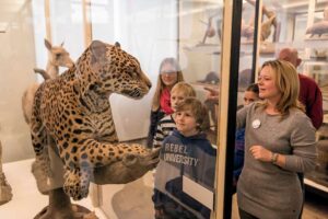 Senckenberg Naturmuseum Frankfurt am Main - Säugetier-Ausstellung: Eine Museumsbegleiterin erklärt einer Kindergruppe ein Leopard-Präparat im Glaskasten